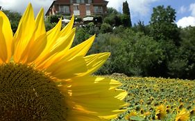 Hotel Sangallo B&B